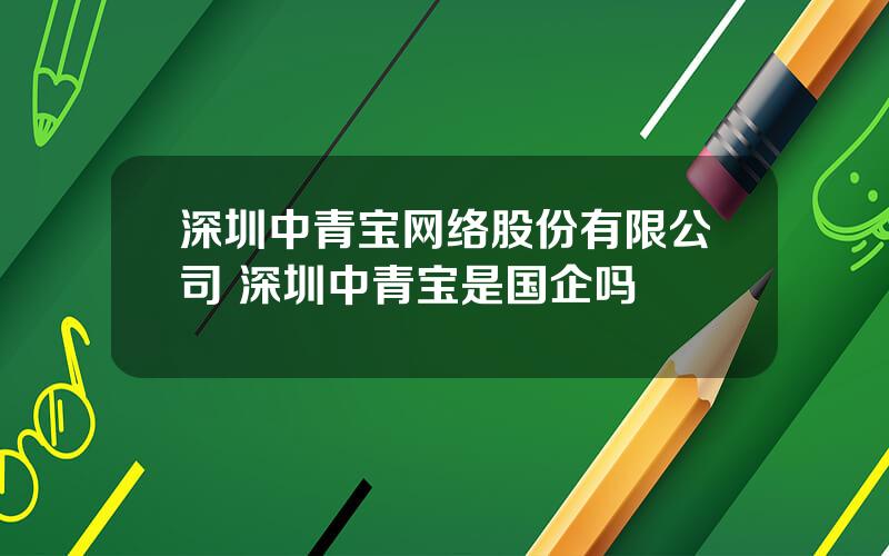 深圳中青宝网络股份有限公司 深圳中青宝是国企吗